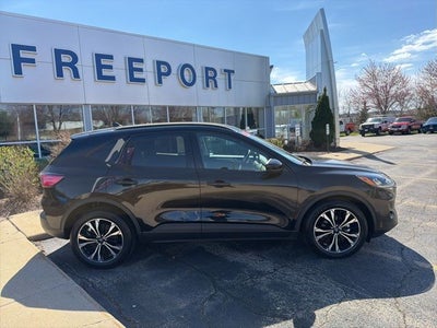 2021 Ford Escape Hybrid SE