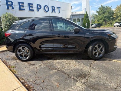 2024 Ford Escape ST-Line