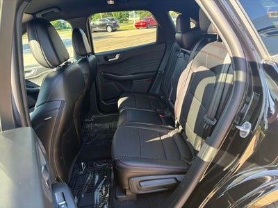 2024 Ford Escape Hybrid ST-Line Select
