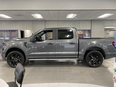 2025 Ford F-150 STX