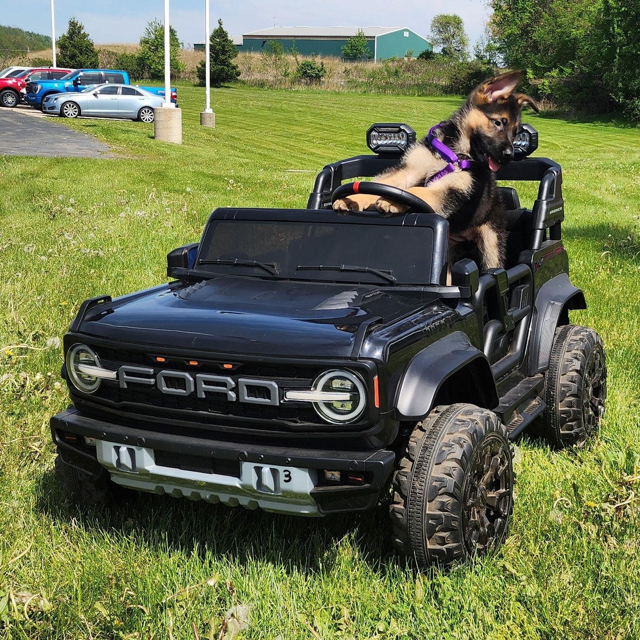 Freeport Ford in Freeport, IL